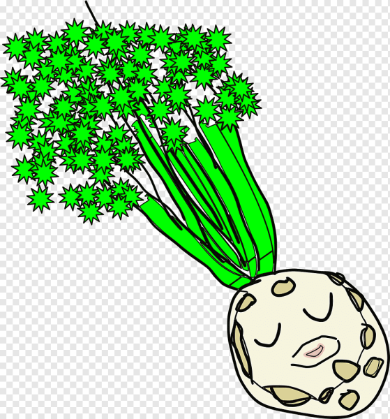 Сельдерей раскраска