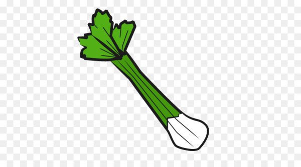 Сельдерей нарисованный