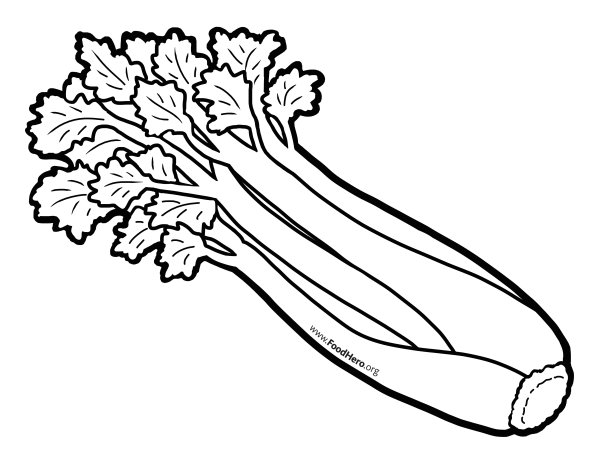 Сельдерей вектор