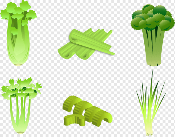 Фенхель стебель