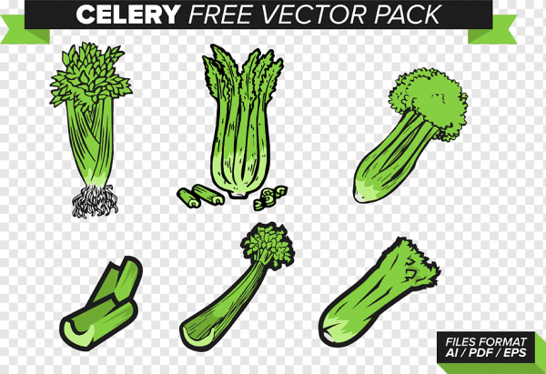 Сельдерей раскраска