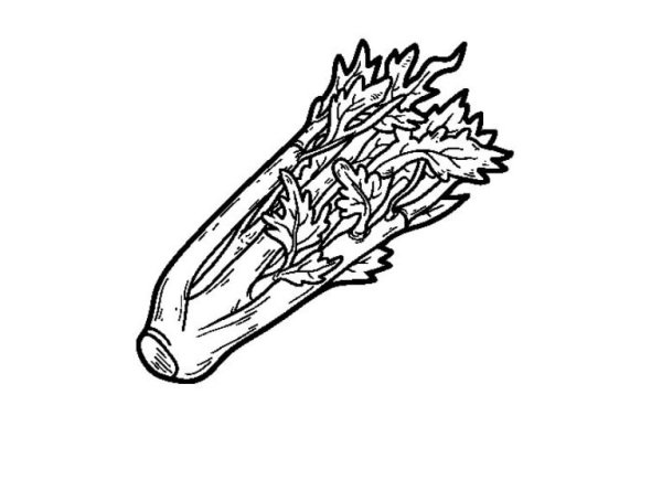 Сельдерей иконка