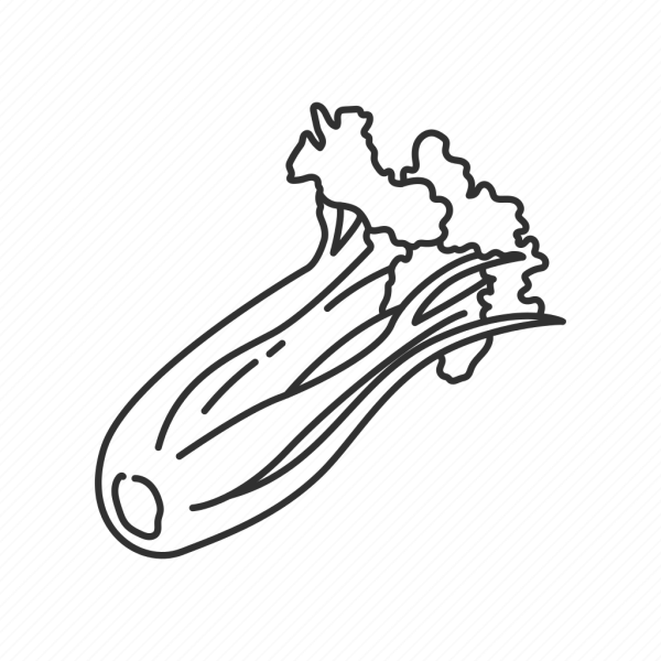 Сельдерей акварель