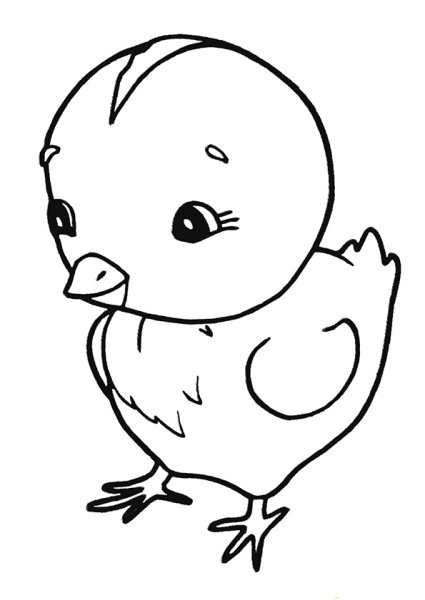 Раскраска цыпленок цып