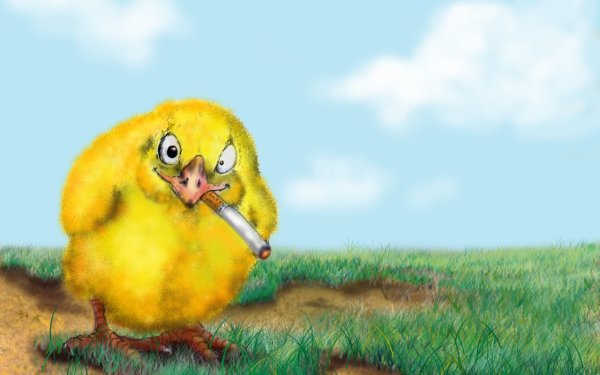 Мультяшные цыплята раскраски