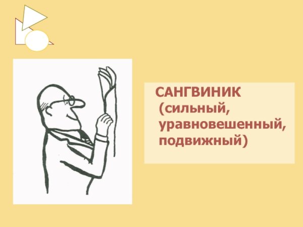 Сангвиник сильный уравновешенный подвижный