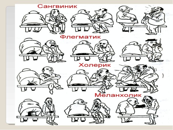 Типы темперамента шляпа