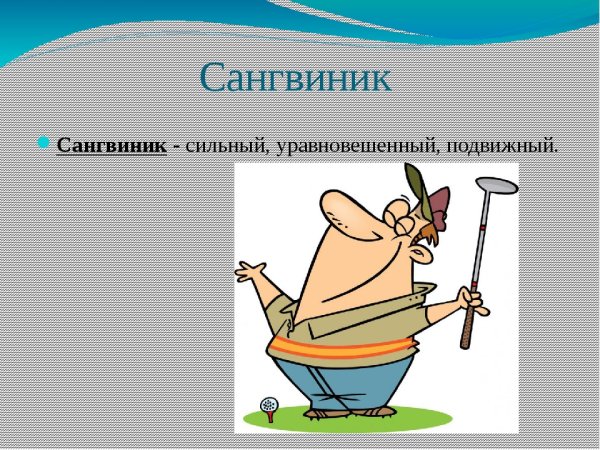 Сангвиник уравновешенный