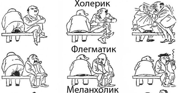 Темперамент флегматик меланхолик