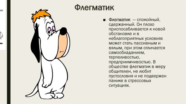 Флегматический Тип темперамента