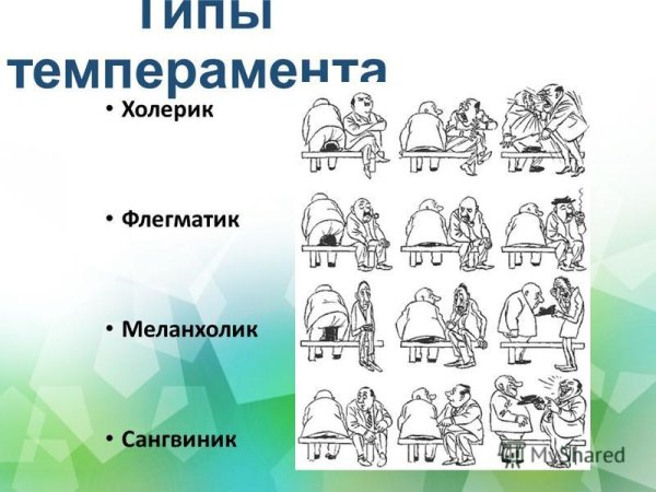 Темперамент холерик сангвиник флегматик меланхолик