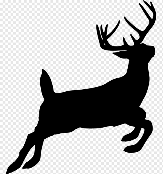 Очертание оленя