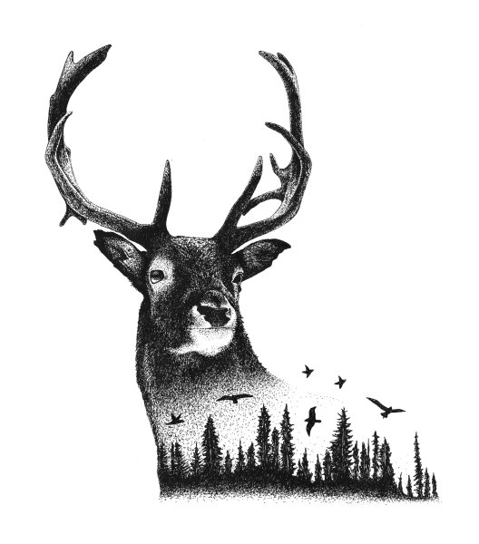 Олень черно белый