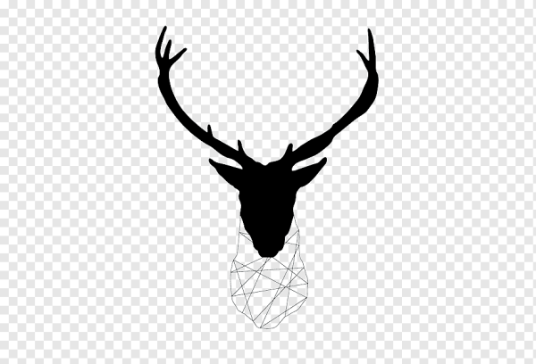 Олень черно белый