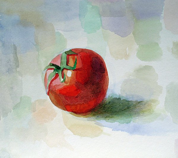 Помидор акварелью Андрияка