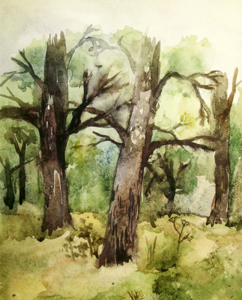 Этюд деревьев пленэр