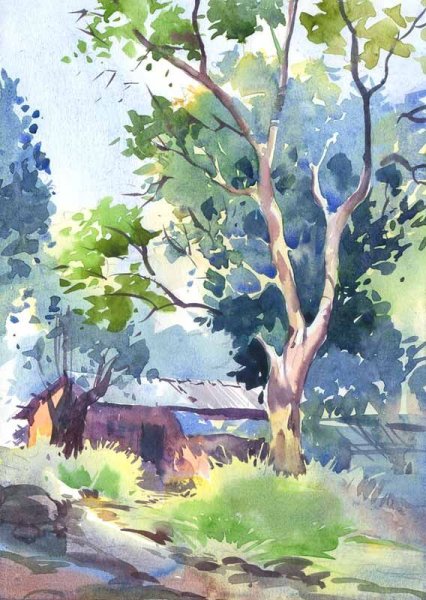 Пленэрные деревья акварель