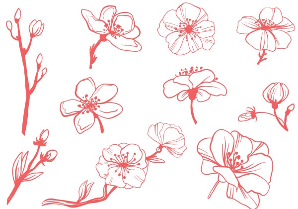 Цветы референс