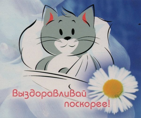 Пожелания выздоровления