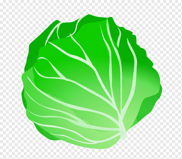 Капустный лист