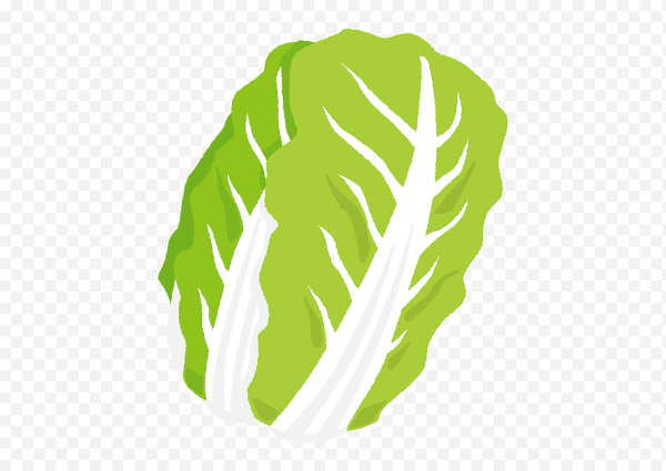 Капустный лист