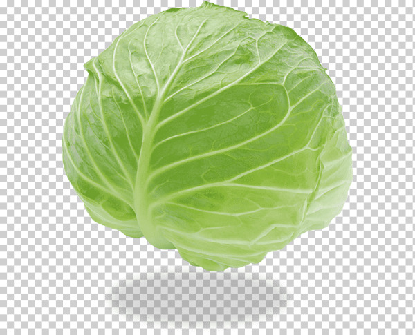 Листок капусты