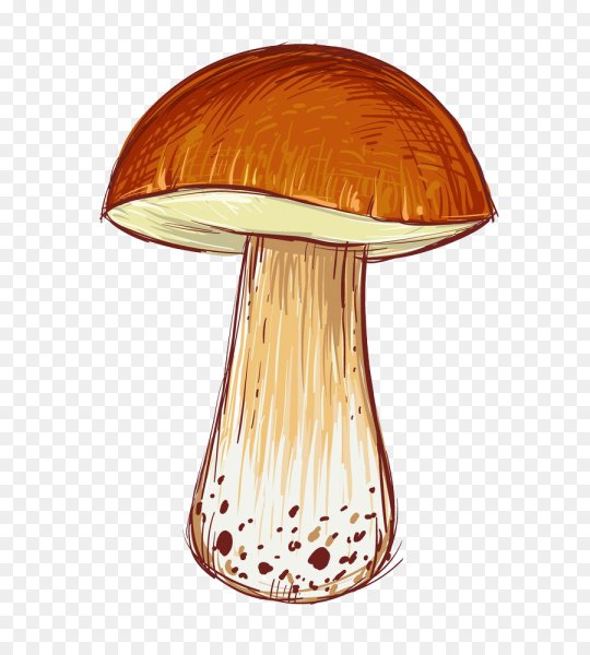 Грибы мультяшные