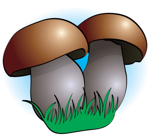 Грибы картинки для детей