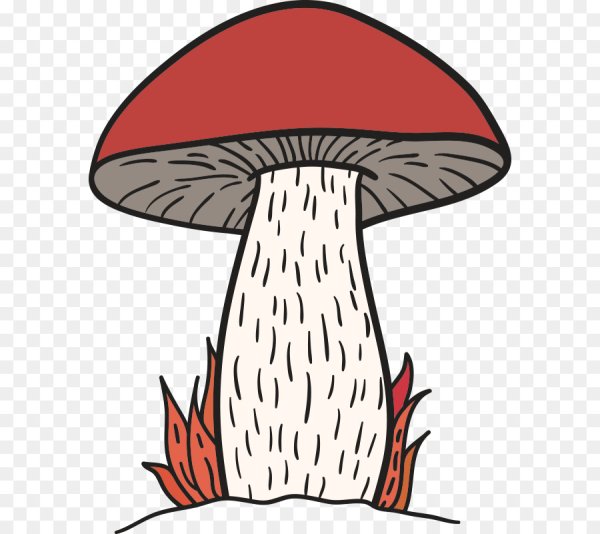 Грибок рисунок