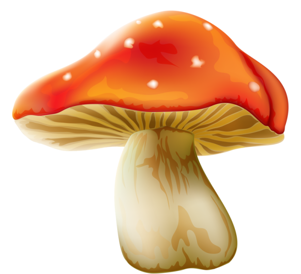 Грибочки для детей