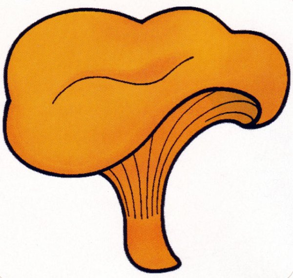 Гриб Лисичка для детей