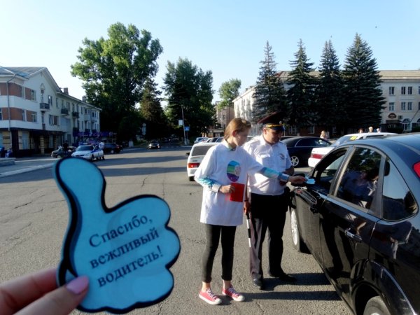 Вежливый водитель стикер