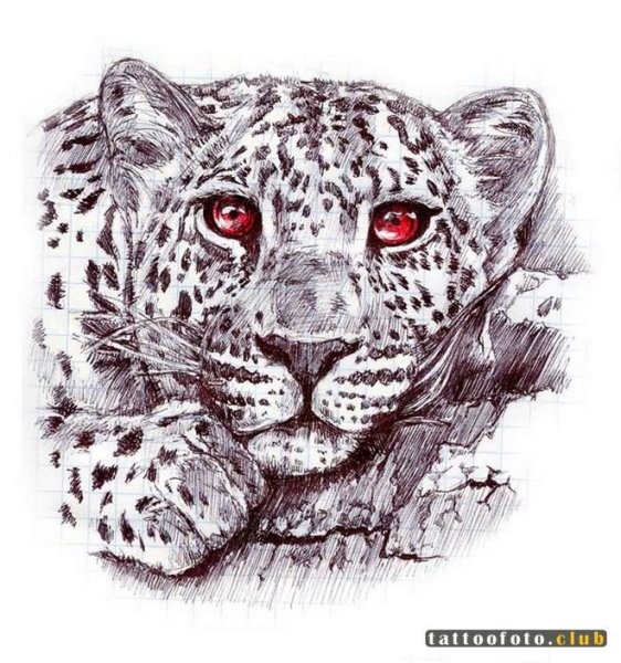 Снежный Барс тату