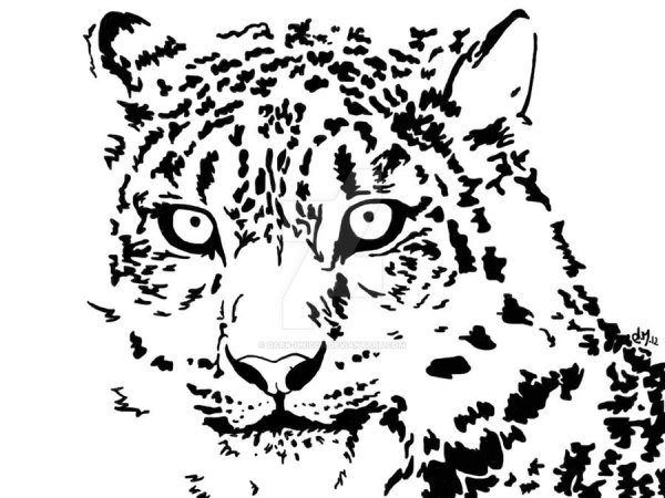 Снежный Барс векторный