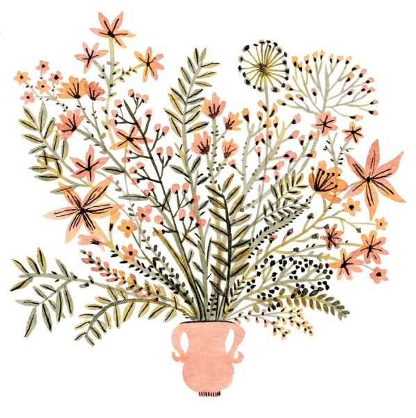 Ботаническая иллюстрация сухоцветы