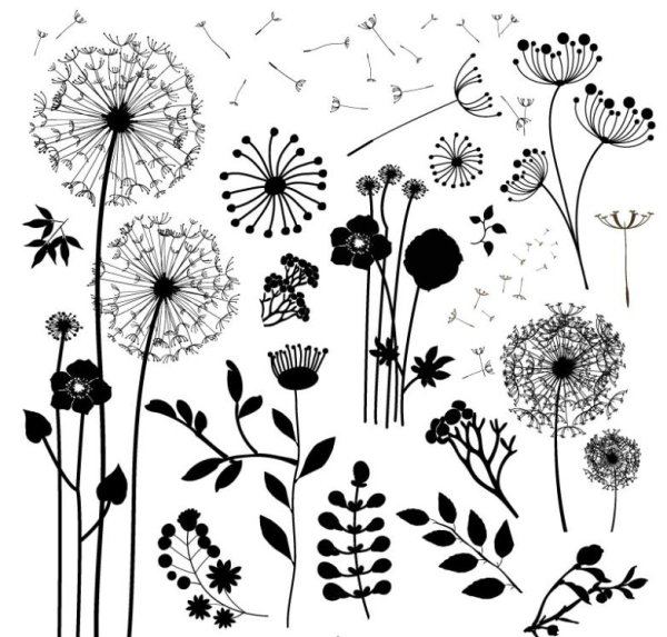 Стилизация полевых цветов