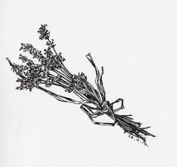 Ветка набросок