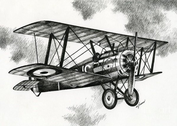 Биплан 20 век вид спереди