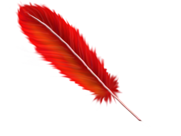 Красное перо нарисованное