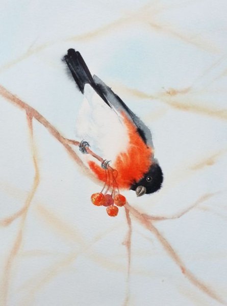 Olga Beliaeva Watercolour