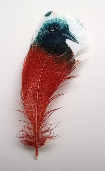 Экзотические перья