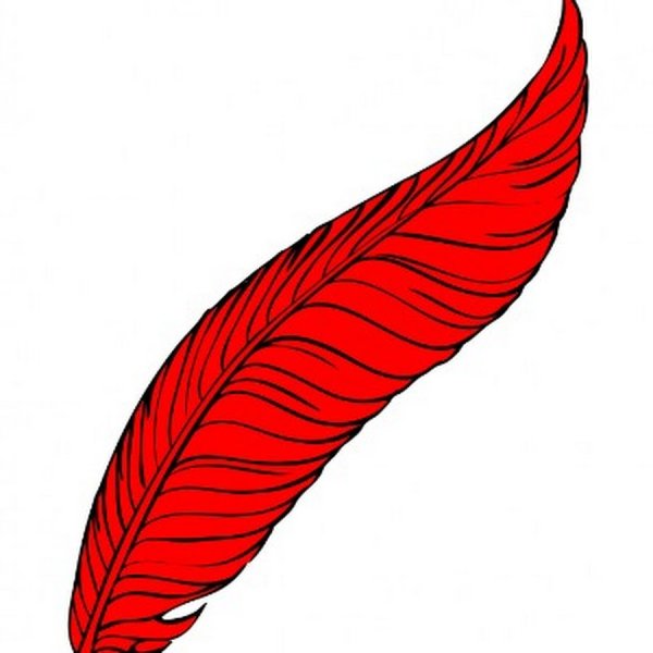 Перья детские красные