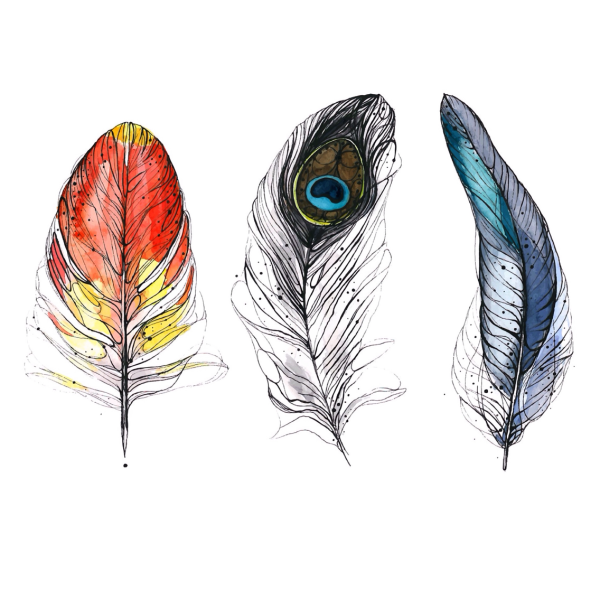 Перья птиц акварелью