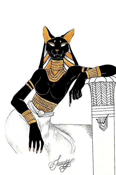 Египетская кошка Анкха