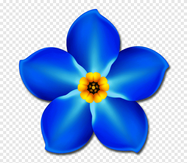 Цветы для детей