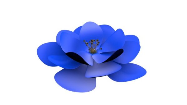 Синие цветы