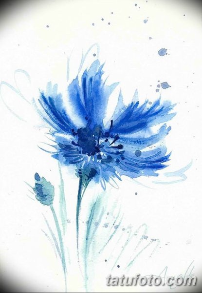 Синие цветы акварель