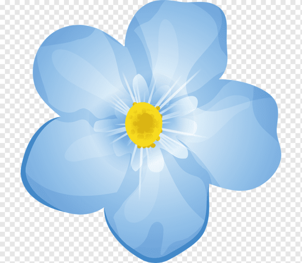 Голубые цветы на прозрачном фоне