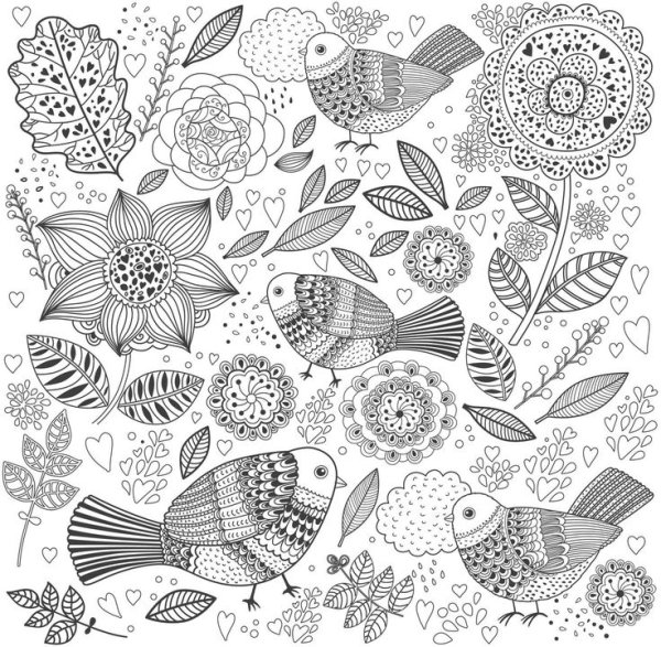 Раскраски антистресс птички