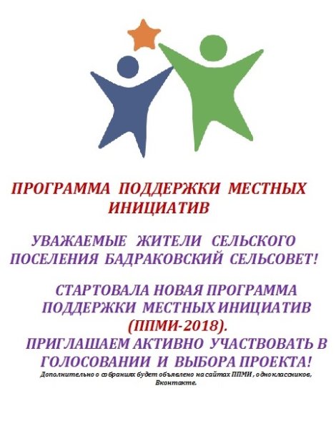 Программа поддержки местных инициатив